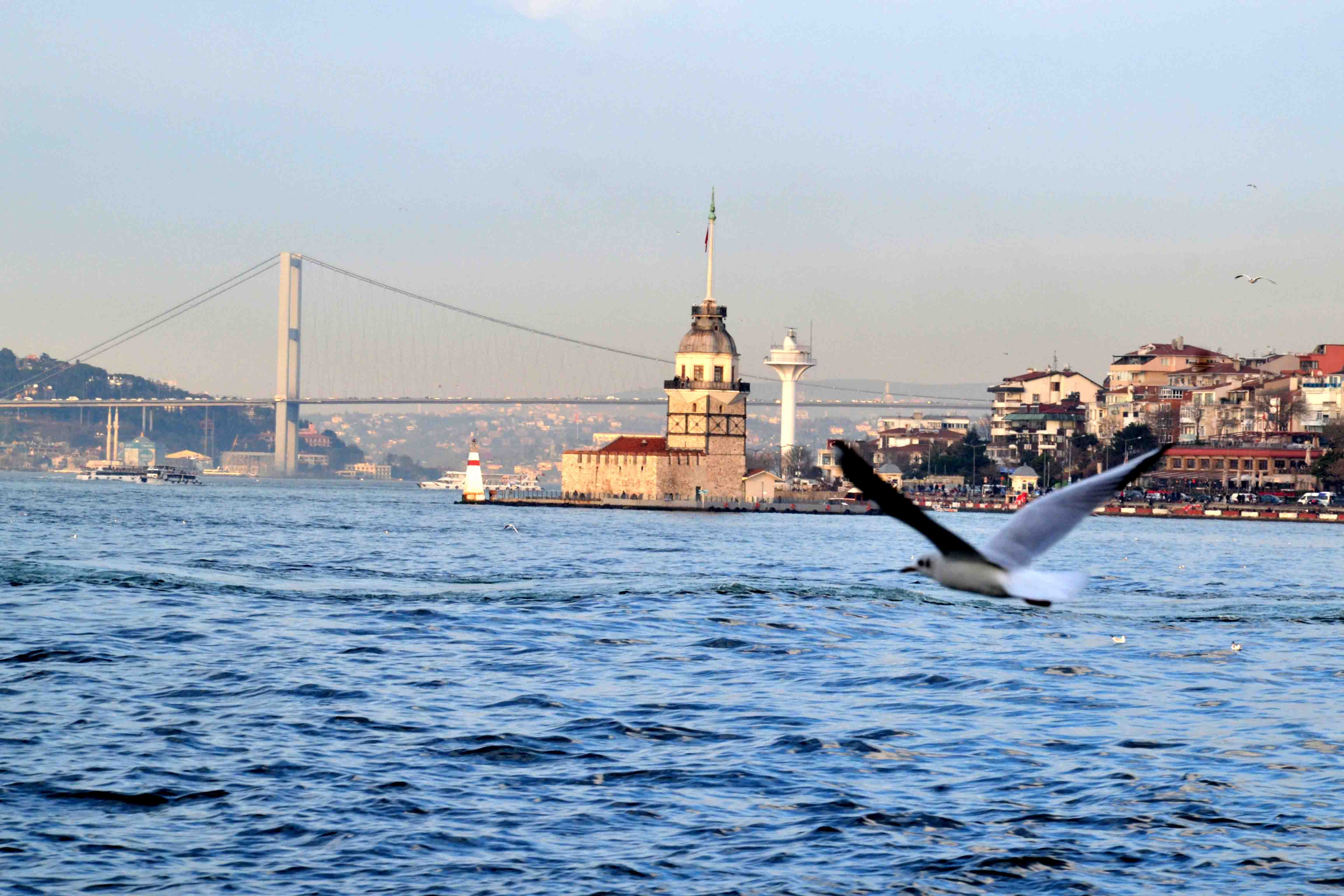 Istanbul's. Стамбул Босфор. Стамбул пролив Босфор корабль Deniz. Босфор пролив и Чайки. Стамбул Босфор Чайки мост.